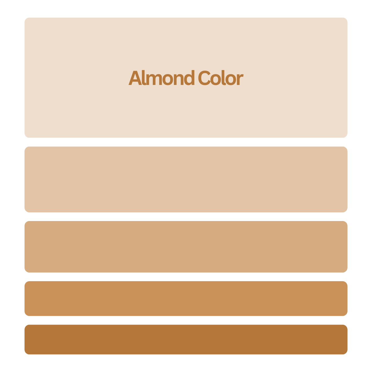 Almond Color Best Practices, Color Codes, Palettes & More!